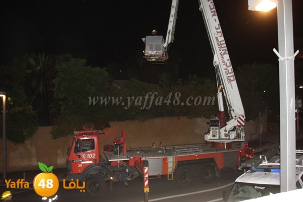 fire minas2 sterer (48).JPG